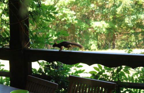 Chalet-Sixtine A large family chalet of 600m2 near La Clusaz - Foto 14