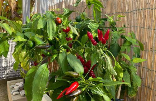 Attico Acquaviva vicino Centro Storico - Foto 6