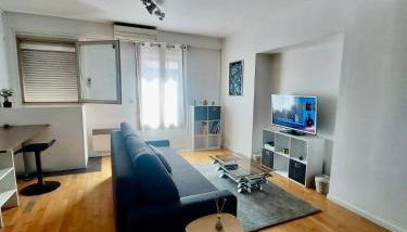 Toulouse Grand T2 Pont des Demoiselles - Foto 3