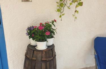 VENTO IN POPPA - Foto 16