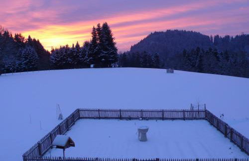 Ferienwohnung Wild - Foto 29