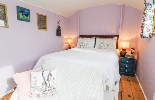 Brondel Luxury Shepherd's Hut - Foto 10