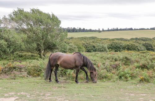 Heathfield - Foto 37