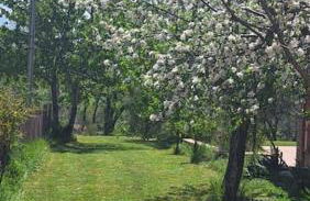 Villa Quattro Castagni - Foto 8