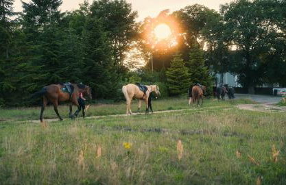 Apartamenty Pod Dębami Stadnina Koni SPA Jezioro i Morze Sarbsk - Photo 6