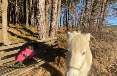 Ponyhof Adam Urlaub auf dem Bauernhof - Foto 58