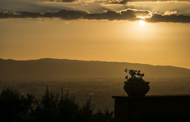 La Quercetta - Foto 34