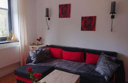 Ferienwohnung Haus Schöneck - Foto 29