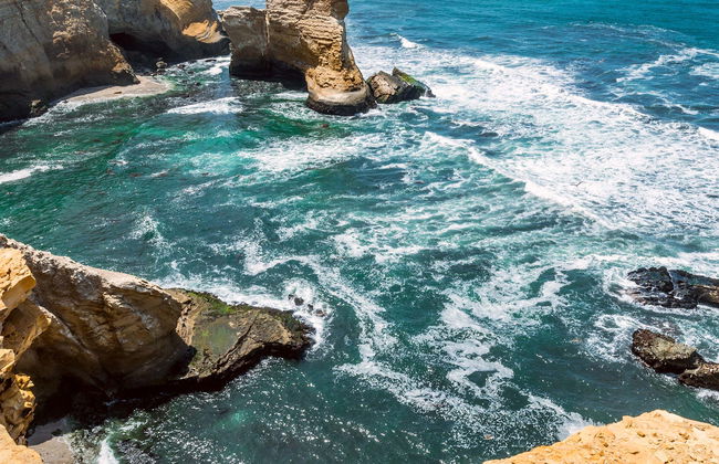 Excursión a las islas Ballestas y la Reserva Nacional de Paracas - Foto 7