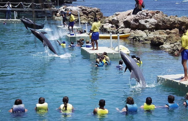 Ocho Rios Villa at Coolshade IV - Photo 65