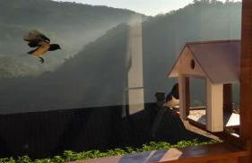 Casa Sossego da Montanha - Foto 34