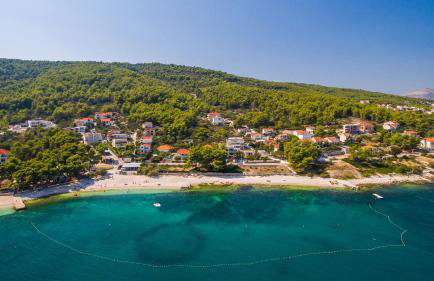 Apartments Alba 1 - Photo 7