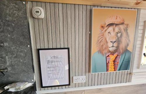 Komet canal boat company limited - Foto 2