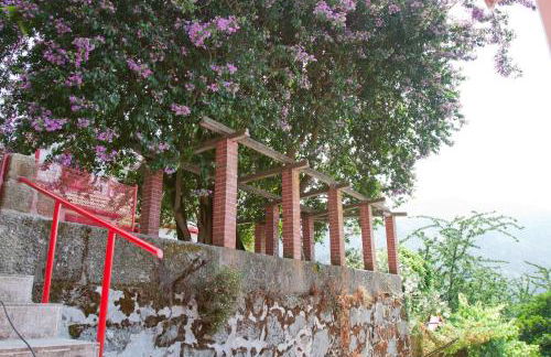 Casa Do Palheiro - Photo 13