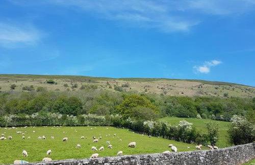 Old Bake House Cottage @ Cwm Mill - Photo 24