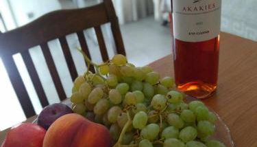 The house in nature SKG - Foto 2