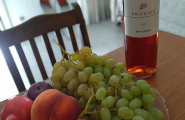 The house in nature SKG - Foto 2