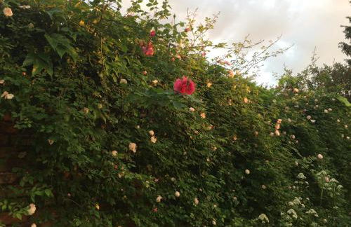 Kranichhof - Studio, Loft & Atelier - Photo 39