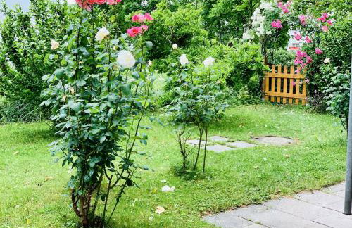 H N H Ferienwohnung - Foto 23