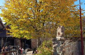 Staffel`s Hob - Foto 19