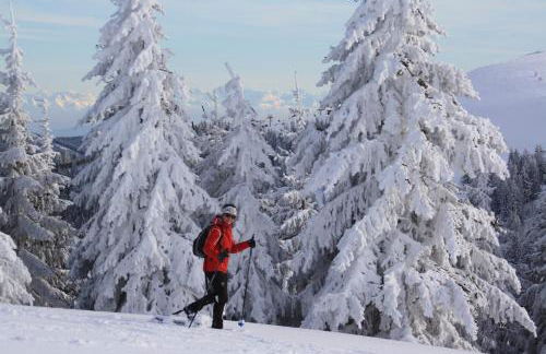 Appartement Rehblick - Foto 75