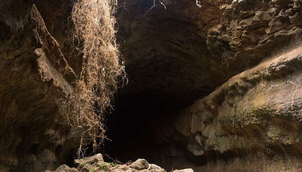 Exploring the tunnels