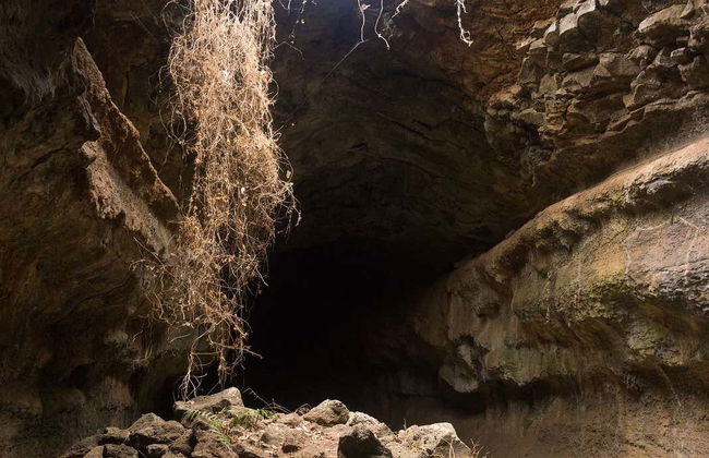 El Chato Ranch Giant Tortoise Tour - Photo 3