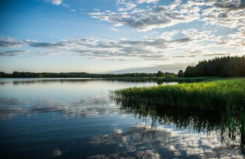 Zielna Farma - Foto 33