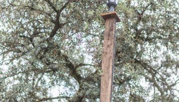 La Umbría de la Ribera - Foto 3