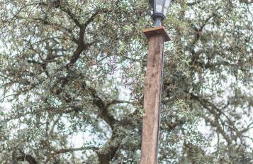 La Umbría de la Ribera - Foto 3