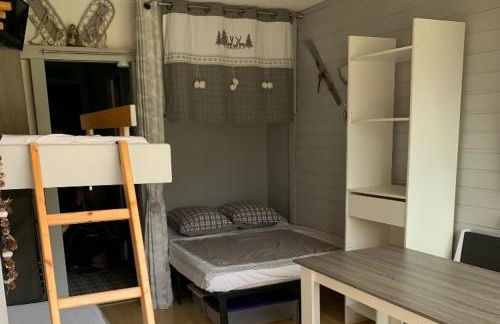 Avec balcon, au pied des pistes et randos - Foto 1