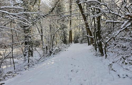 Gartenglück, entspannt wohnen am Obstwanderweg - Foto 33