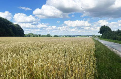 Wohnen auf dem Ponyhof - Photo 19