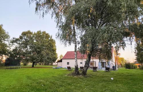 Felicità - Longère with swimming pool and large garden - Photo 36