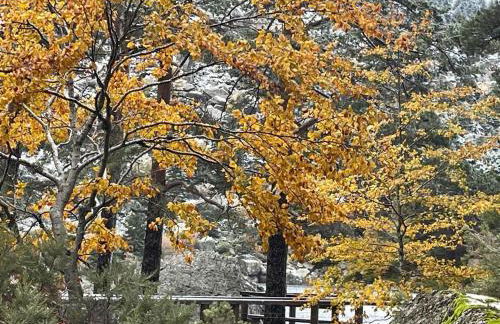 La casa del Alamo - Foto 34