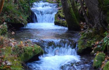 FREE Apartment - Bei den Thermen - Foto 74