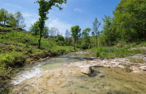 Pet Friendly Home In Trviz With Wifi - Photo 14