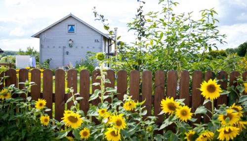 Magia Krutyni - Foto 4