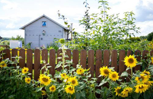 Magia Krutyni - Foto 4