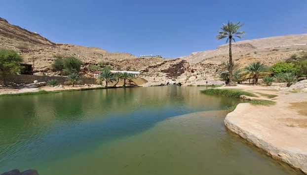 Visit the oasis Wadi Bani Khalid