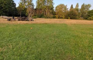 Apartment Sleeps 3 - Garden Pets Welcome - Foto 34