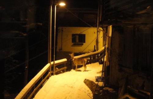 B&B Mas di Zonadi - Foto 21