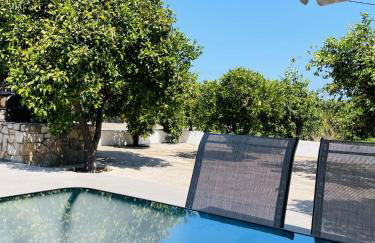 Citrus garden - Photo 42