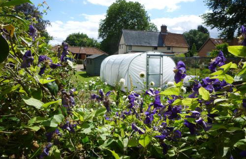 Golden Cross - Photo 20