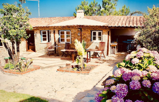 João Jungle - Foto 21