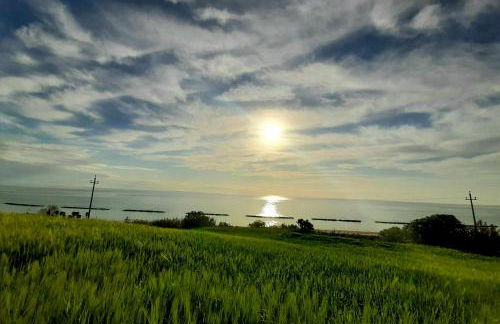 Bio Agriturismo Mare in Campagna - Foto 18