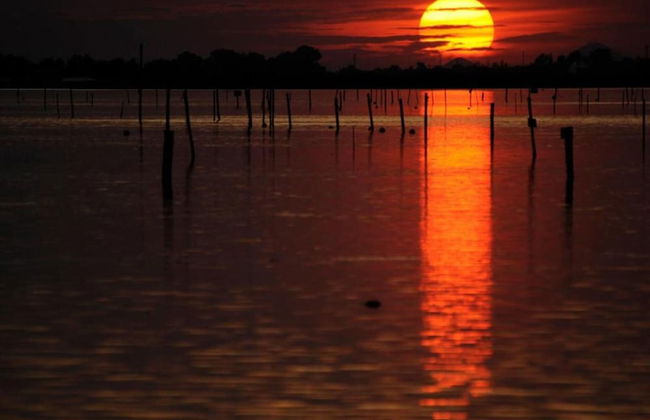 Villa in Albarella Near Venice Beach - Foto 57