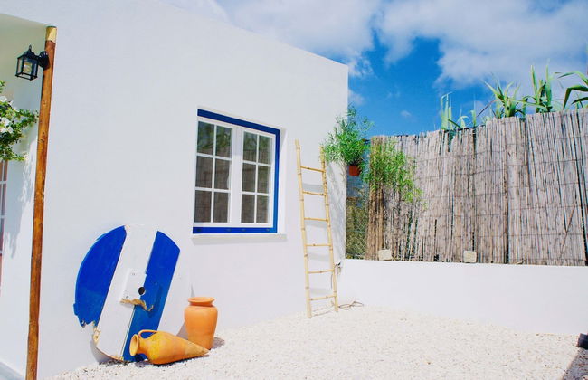 João Jungle - Foto 15