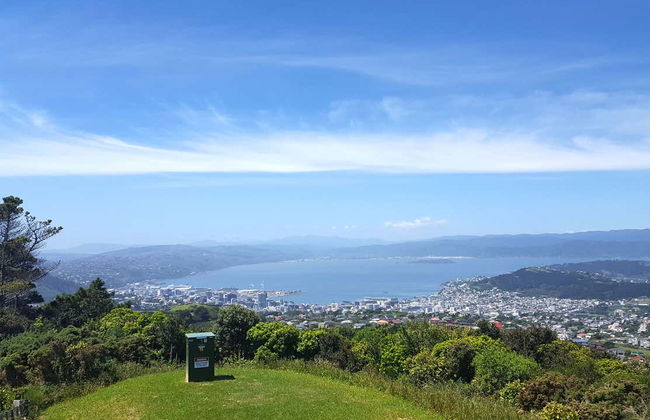 Tour por Wellington - Foto 2