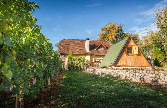 Vineyard Cottage Hocevar - Foto 26